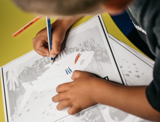 POLETNE ZAPPY-ČITNICE